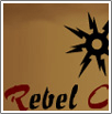 Lake Ontario Rebel Fishing Charters