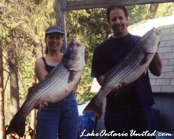 Early Stripers