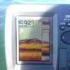 8/5 - Fish Finder - Bait Fish