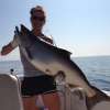 24 lb King