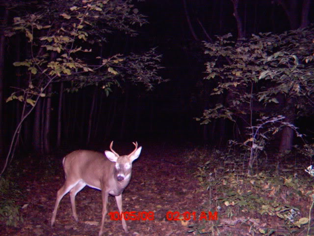 001-1.jpg