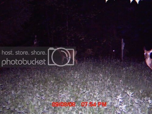 012.jpg