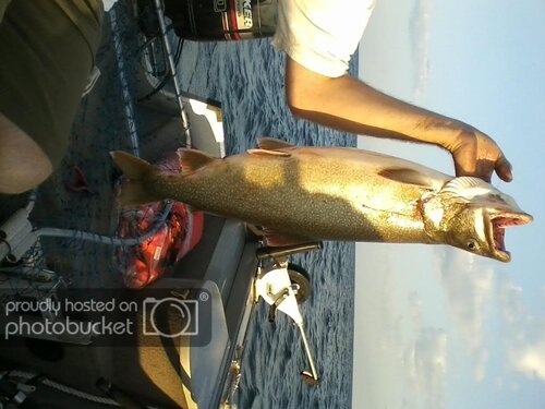 0708120646.jpg