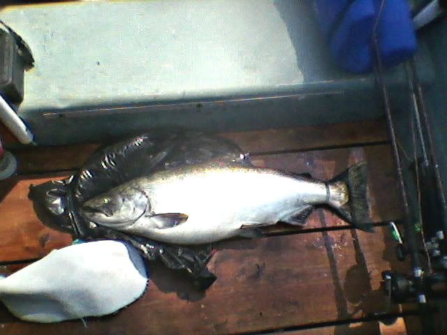 0714121112.jpg