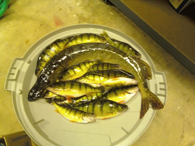 1-24-10Catch.jpg