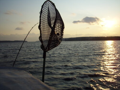 100_0155.jpg
