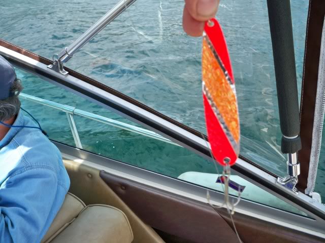100_0559.jpg