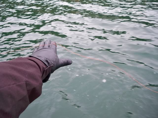 100_1231.jpg
