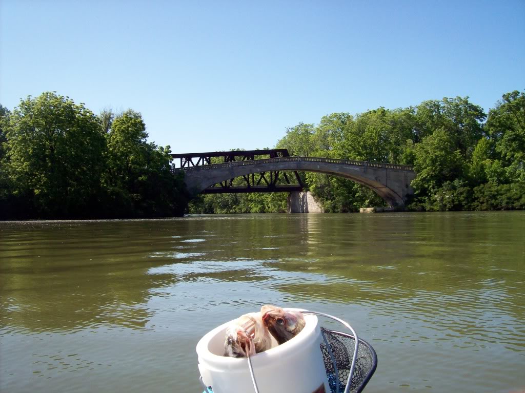 100_2308.jpg