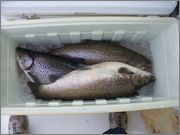 100_2579.jpg