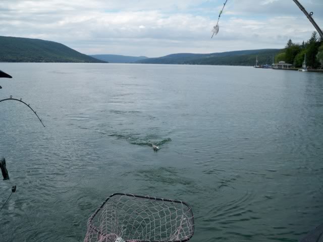 100_2593.jpg