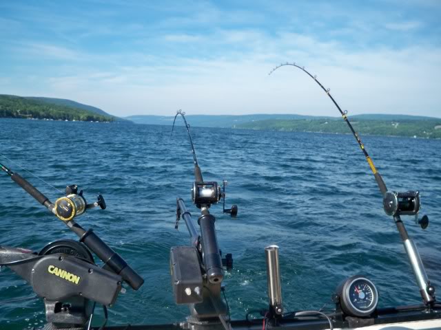 100_4473.jpg