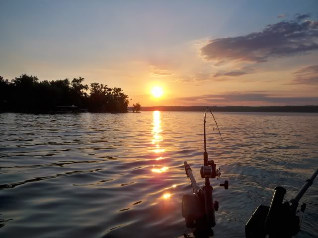100_4539.jpg