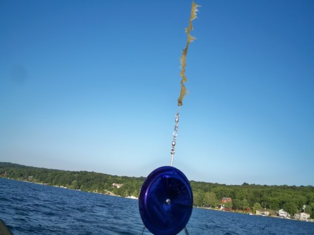 100_4542.jpg