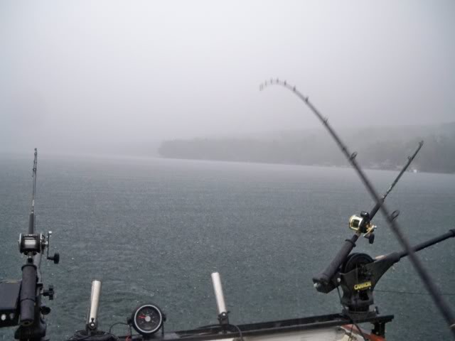 100_4640.jpg