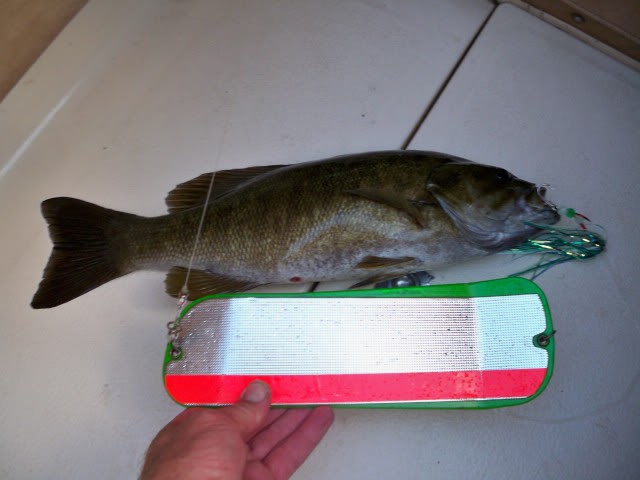 100_4695.jpg
