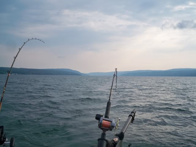100_4780.jpg