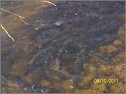 100_5087.jpg