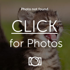 100_9870.jpg