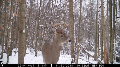 11-pt-alive.jpg