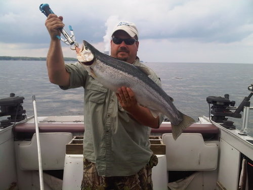 12lbsteelhead.jpg