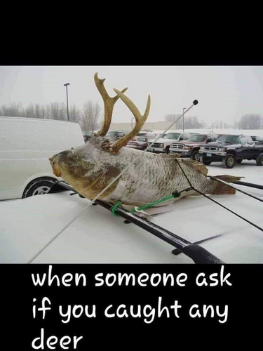 Image may contain: text that says 'when someone ask if you caught any deer'