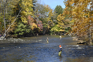 Salmon River anglers