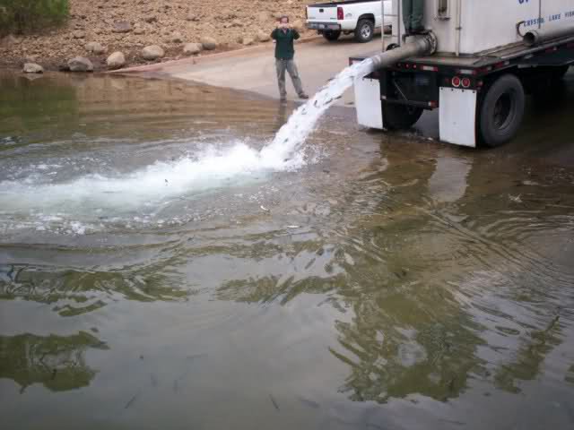 1zqzq4p.jpg