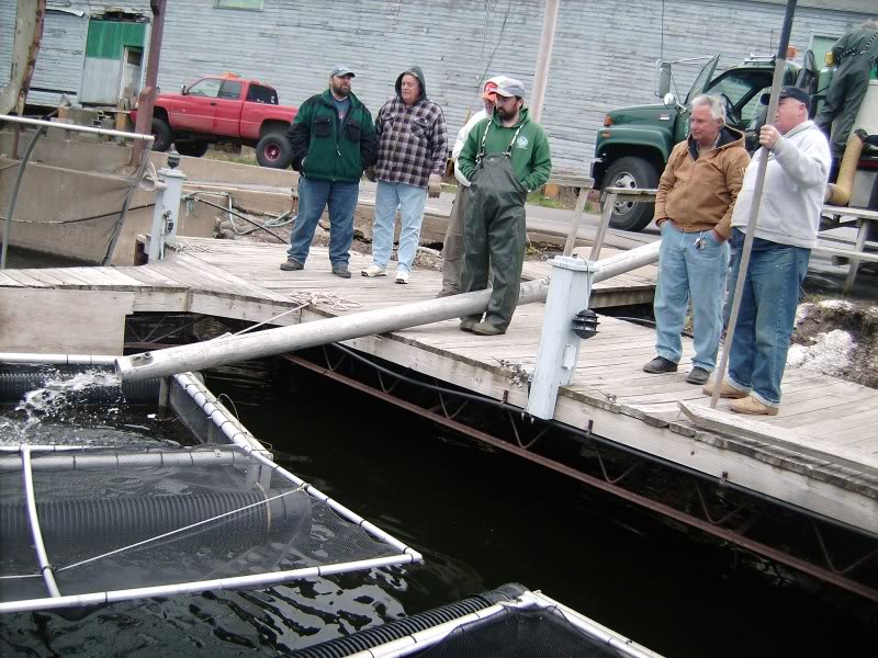 2009NetPen4.jpg