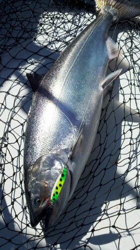 2011-05-08_09-47-18_179.jpg