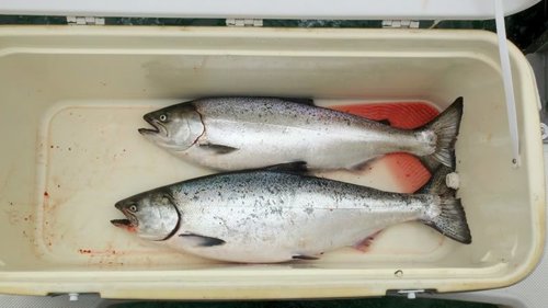2011-05-28_07-31-40_440.jpg