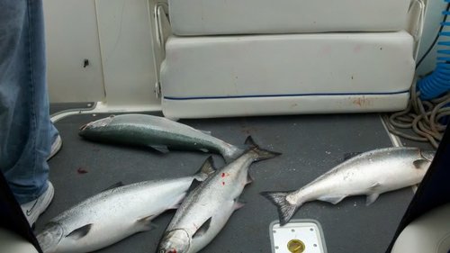 2011-05-28_08-04-12_837.jpg