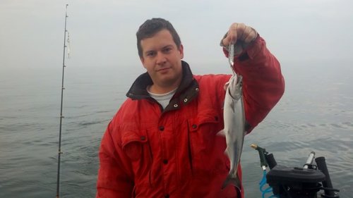 2011-05-29_06-44-19_9.jpg