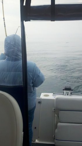 2011-05-29_07-06-37_526.jpg