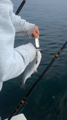 2011-05-29_08-25-27_730.jpg