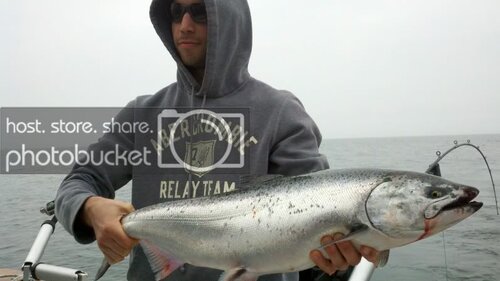 2011-05-29_14-00-21_355.jpg