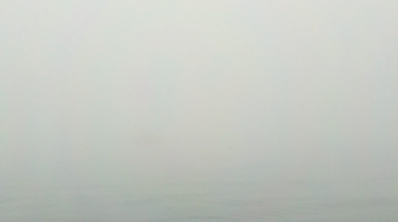 2011-05-30_07-22-15_847.jpg