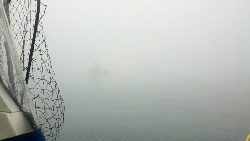 2011-05-30_12-06-05_360.jpg