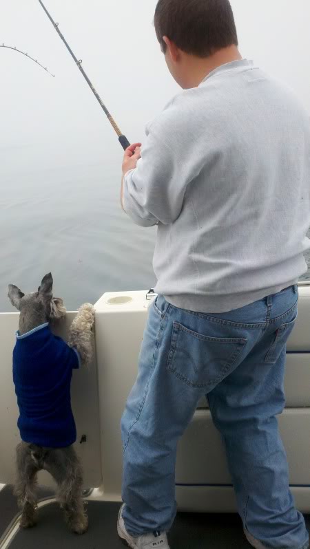2011-05-30_12-35-44_927.jpg