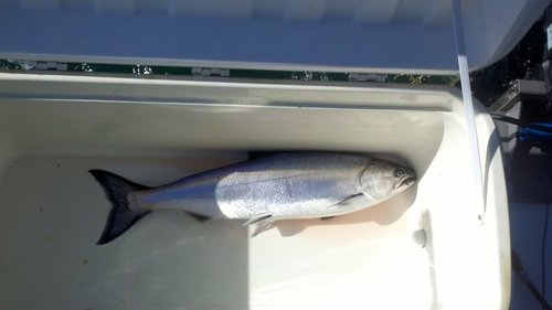 2011-06-01_08-59-15_281.jpg