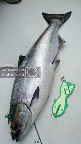 2011-06-26_07-44-17_711.jpg