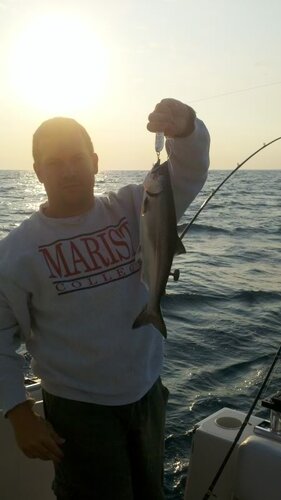 2011-07-05_06-42-26_353.jpg