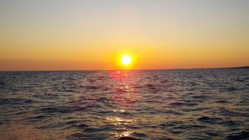 2011-07-09_05-51-55_788.jpg
