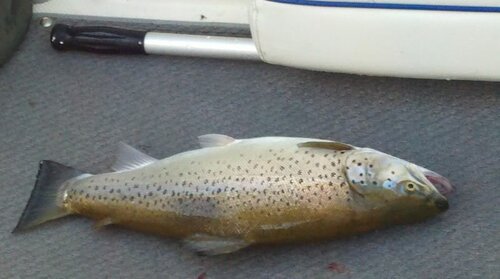 2011-07-09_06-42-27_509.jpg