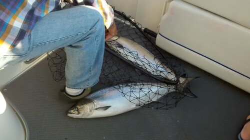 2011-07-09_07-31-39_484.jpg