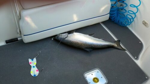 2011-07-09_07-48-55_757.jpg