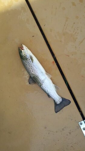 2011-07-09_18-34-39_761.jpg