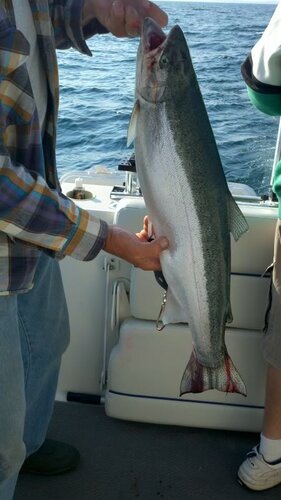 2011-07-11_08-27-37_76.jpg