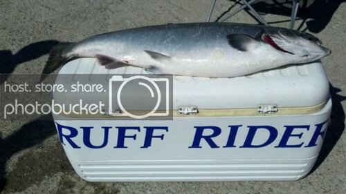 2011-07-15_09-43-23_217.jpg