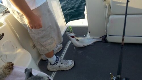 2011-07-23_07-08-41_118.jpg